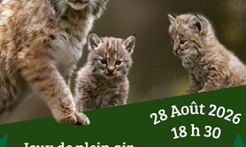 Balade nocturne animée