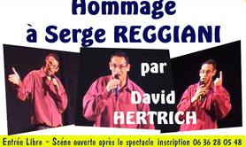 David HERTRICH - Chanteur propose spectacle