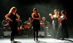 Flamenco à Paris - Spectacles / Animations Flamenco