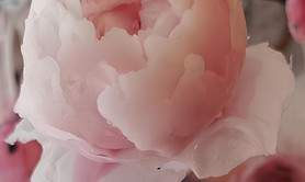 Vernissage exposition « CIRE(S) »