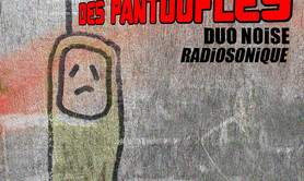 Performance radiosonique + concert