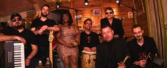 Melting Pot – Concert salsa