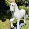 Donne licorne